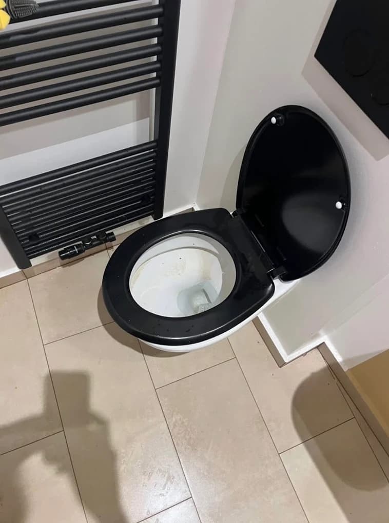 WC débouché & assaini sans rayure